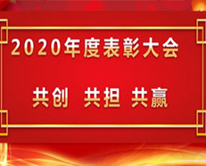 2020安的電子年度表彰大會(huì)順利召開 ---“共創(chuàng)，共擔(dān)，共贏”主題演講